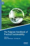 The Palgrave Handbook of Practical Sustainability cover