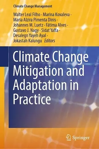 Climate Change Mitigation and Adaptation in Practice cover