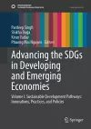 Advancing the SDGs in Developing and Emerging Economies cover