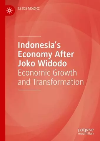 Indonesia’s Economy After Joko Widodo cover