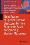 Identification of Special-Purpose Structures by Their Fragments Based on Scanning Electron Microscopy cover