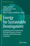 Energy for Sustainable Development cover