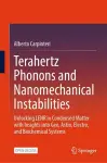Terahertz Phonons and Nanomechanical Instabilities cover