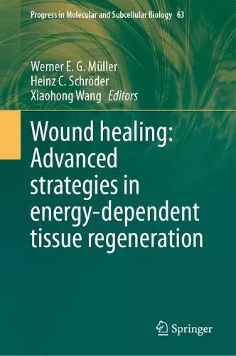 Wound healing: Advanced strategies in energy-dependent tissue regeneration cover