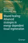 Wound healing: Advanced strategies in energy-dependent tissue regeneration cover