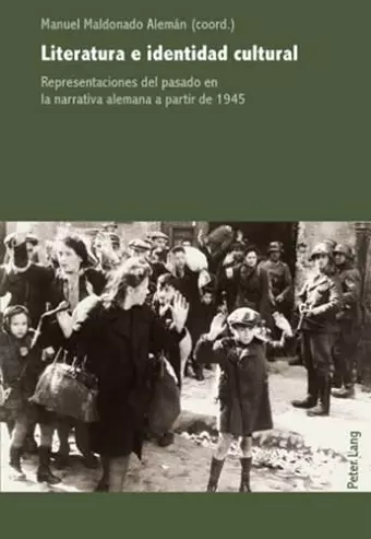 Literatura E Identidad Cultural cover