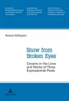 Snow from Broken Eyes cover