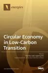 Circular Economy in Low-Carbon Transition cover