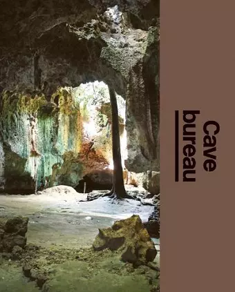 Cave bureau cover