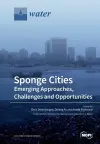 Sponge Cities cover