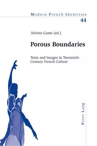 Porous Boundaries cover