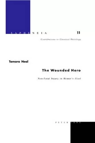 The Wounded Hero cover
