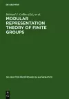 Modular Representation Theory of Finite Groups cover