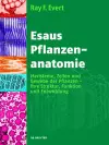 Esaus Pflanzenanatomie cover