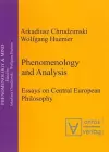 Phenomenology & Analysis cover