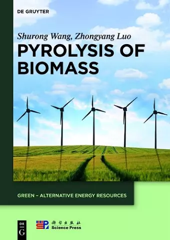 Pyrolysis of Biomass cover