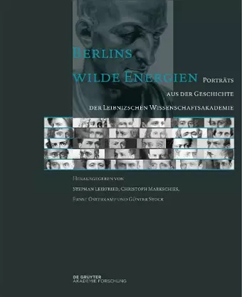 Berlins wilde Energien cover