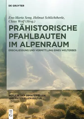 Prähistorische Pfahlbauten im Alpenraum cover