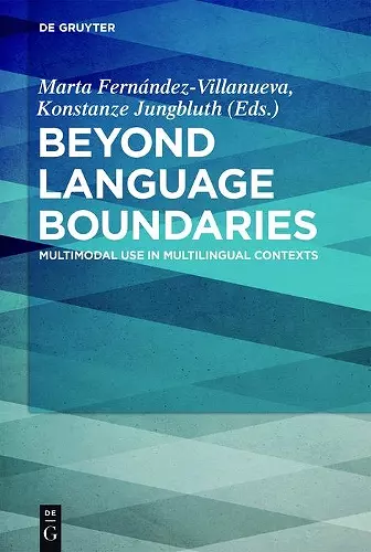 Beyond Language Boundaries cover