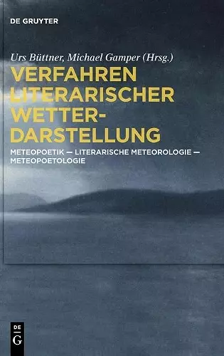 Verfahren Literarischer Wetterdarstellung cover