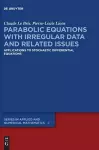 Parabolic Equations with Irregular Data and Related Issues cover