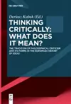 Thinking Critically: What Does It Mean? cover