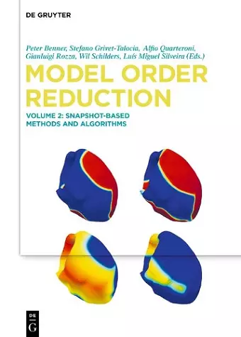 Snapshot-Based Methods and Algorithms cover