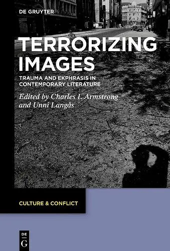 Terrorizing Images cover