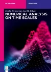 Numerical Analysis on Time Scales cover