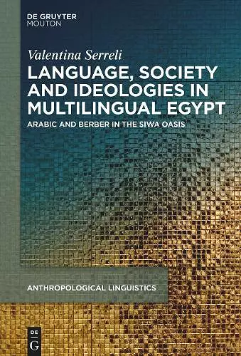 Language, Society and Ideologies in Multilingual Egypt cover