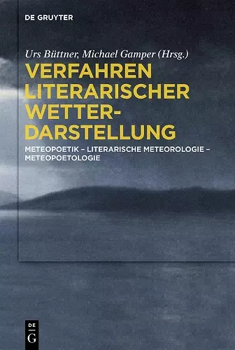 Verfahren literarischer Wetterdarstellung cover