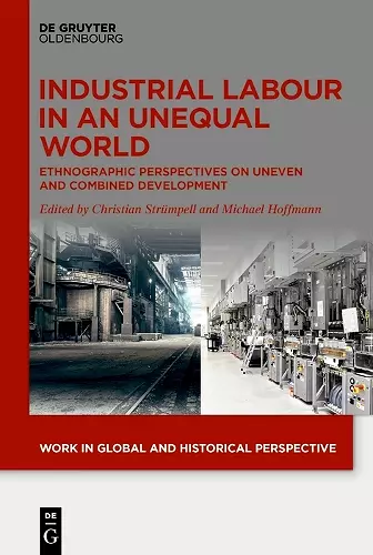 Industrial Labour in an Unequal World cover