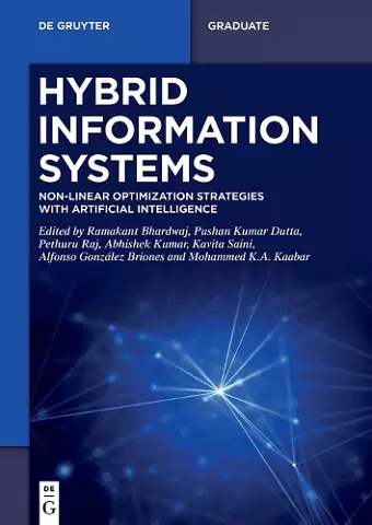 Hybrid Information Systems cover