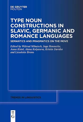 Type Noun Constructions in Slavic, Germanic and Romance Languages cover