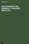 Diccionario del Hebreo Y Arameo Biblicos cover