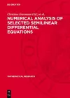 Numerical Analysis of Selected Semilinear Differential Equations cover