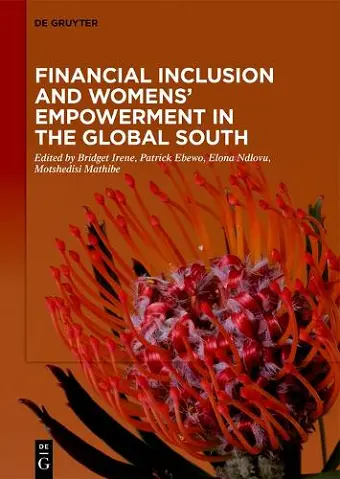 Financial Inclusion and Womens' Empowerment in the Global South cover