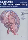 Color Atlas of Microneurosurgery: Volume 2 - Cerebrovascular Lesions cover