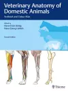 Veterinary Anatomy of Domestic Animals cover