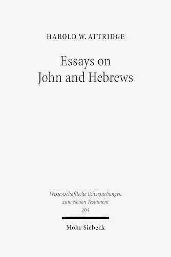 Essays on John and Hebrews cover