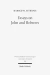 Essays on John and Hebrews cover