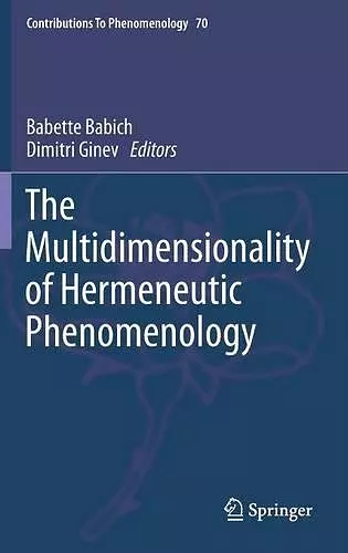 The Multidimensionality of Hermeneutic Phenomenology cover