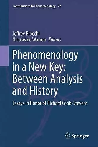 Phenomenology in a New Key: Between Analysis and History cover