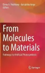 From Molecules to Materials cover