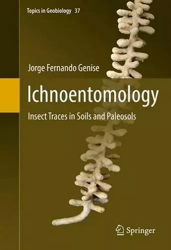 Ichnoentomology cover