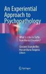 An Experiential Approach to Psychopathology cover