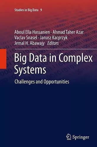 Big Data in Complex Systems cover