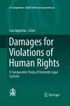 Damages for Violations of Human Rights cover