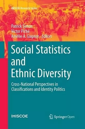 Social Statistics and Ethnic Diversity cover