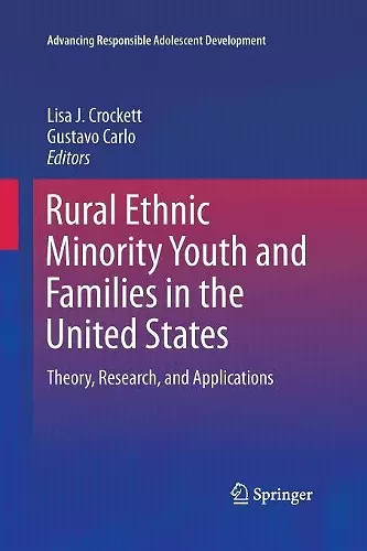 Rural Ethnic Minority Youth and Families in the United States cover